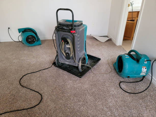 Best Professional water damage repair  in Hermitage, PA