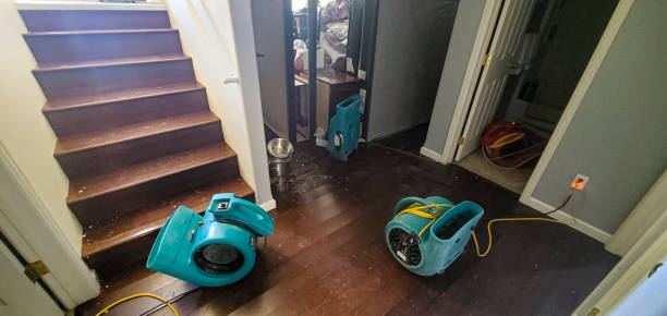 Best Flooded house restoration  in Hermitage, PA