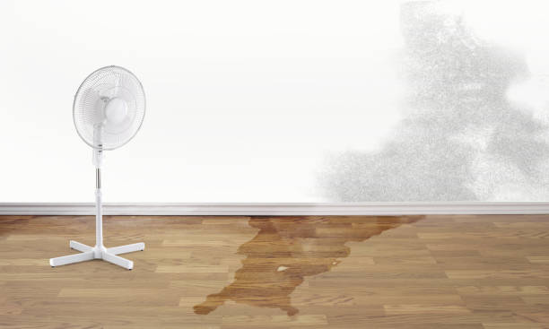 Best 24/7 water damage repair  in Hermitage, PA