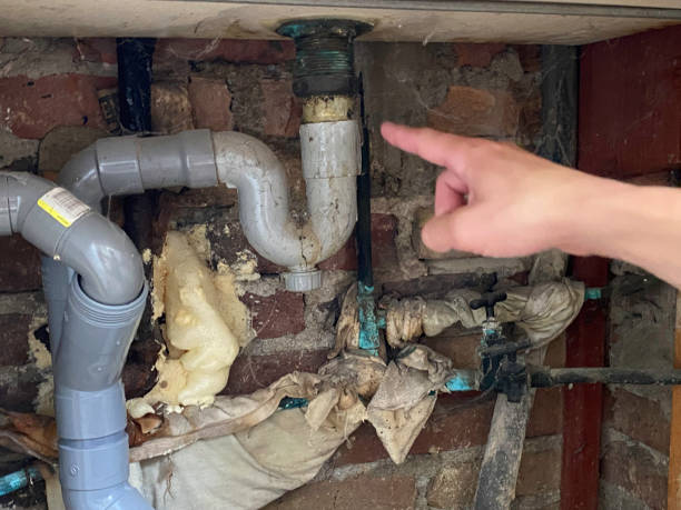 Best Basement water damage restoration  in Hermitage, PA
