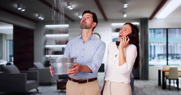 Best Flood restoration services  in Hermitage, PA