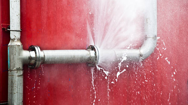 Best Water damage restoration near me  in Hermitage, PA